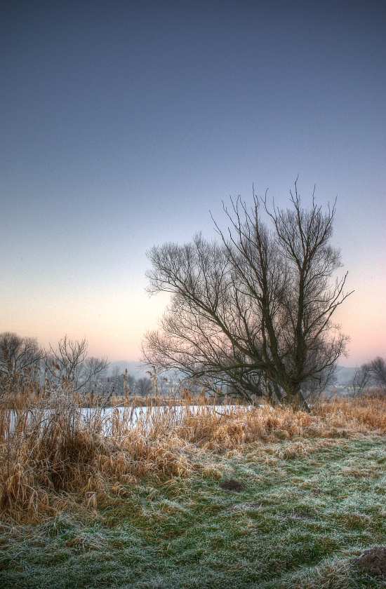 The colors of Winter?