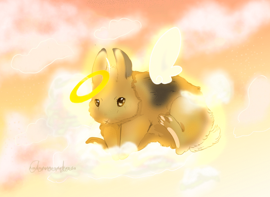 Angel Bunny GIF | (RIP Simba) by MandyluvArt on DeviantArt