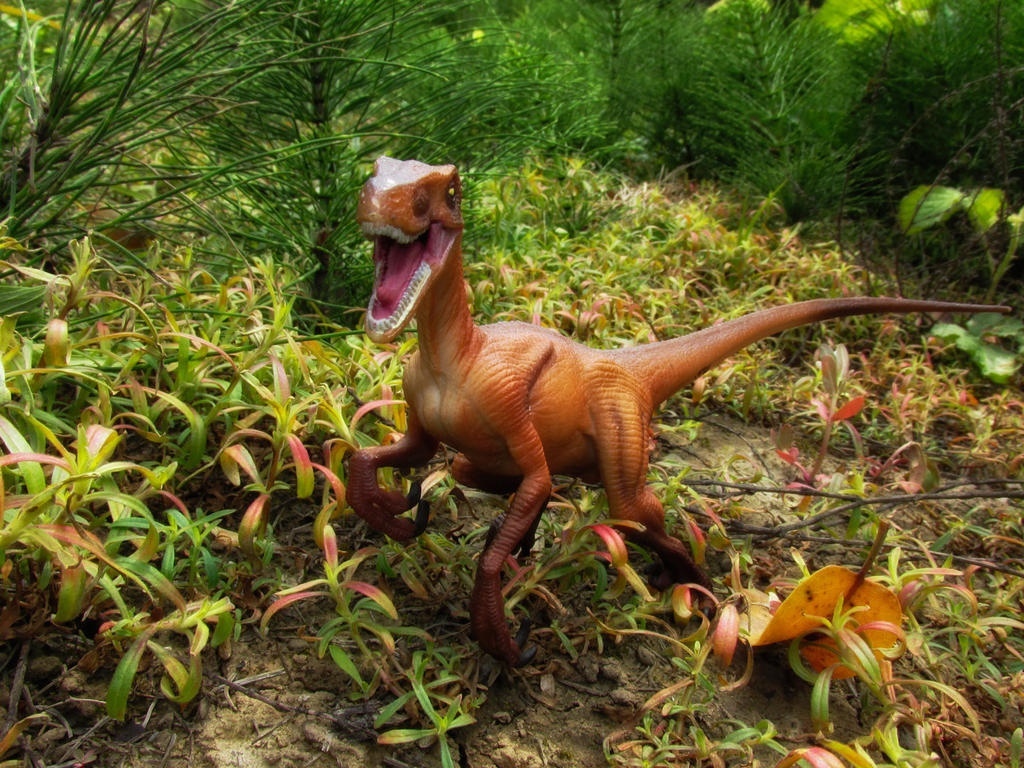 Raptor Photos 3 by SylxeriaGuardian on DeviantArt