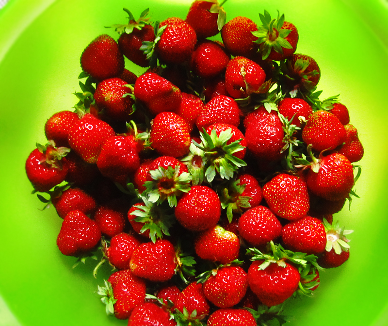 first strawberries