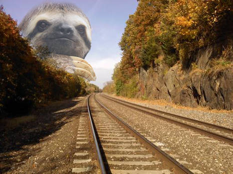 Sloth Tracks