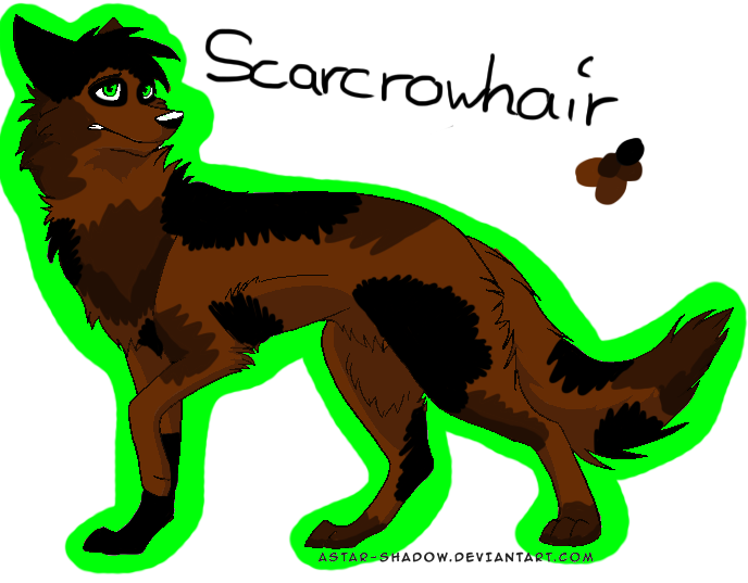 Scarcrowhair