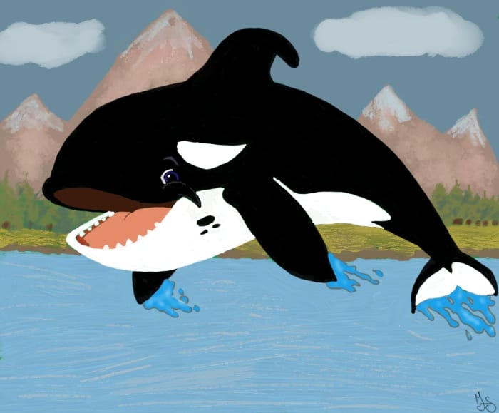 Free Willy Cartoon by Designdream25 on DeviantArt