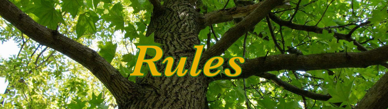 Rules rp Sign by Ilikefruits on DeviantArt
