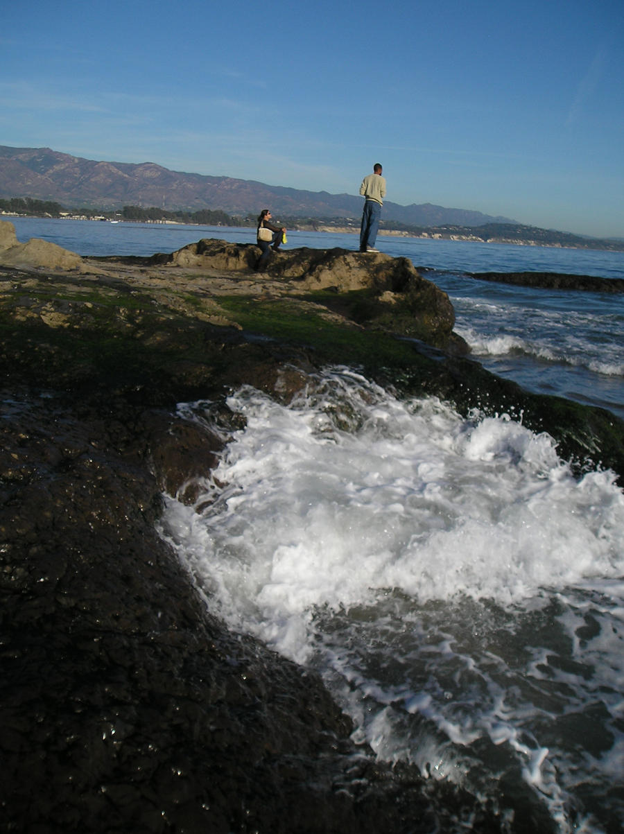 Campus Point, UCSB 48