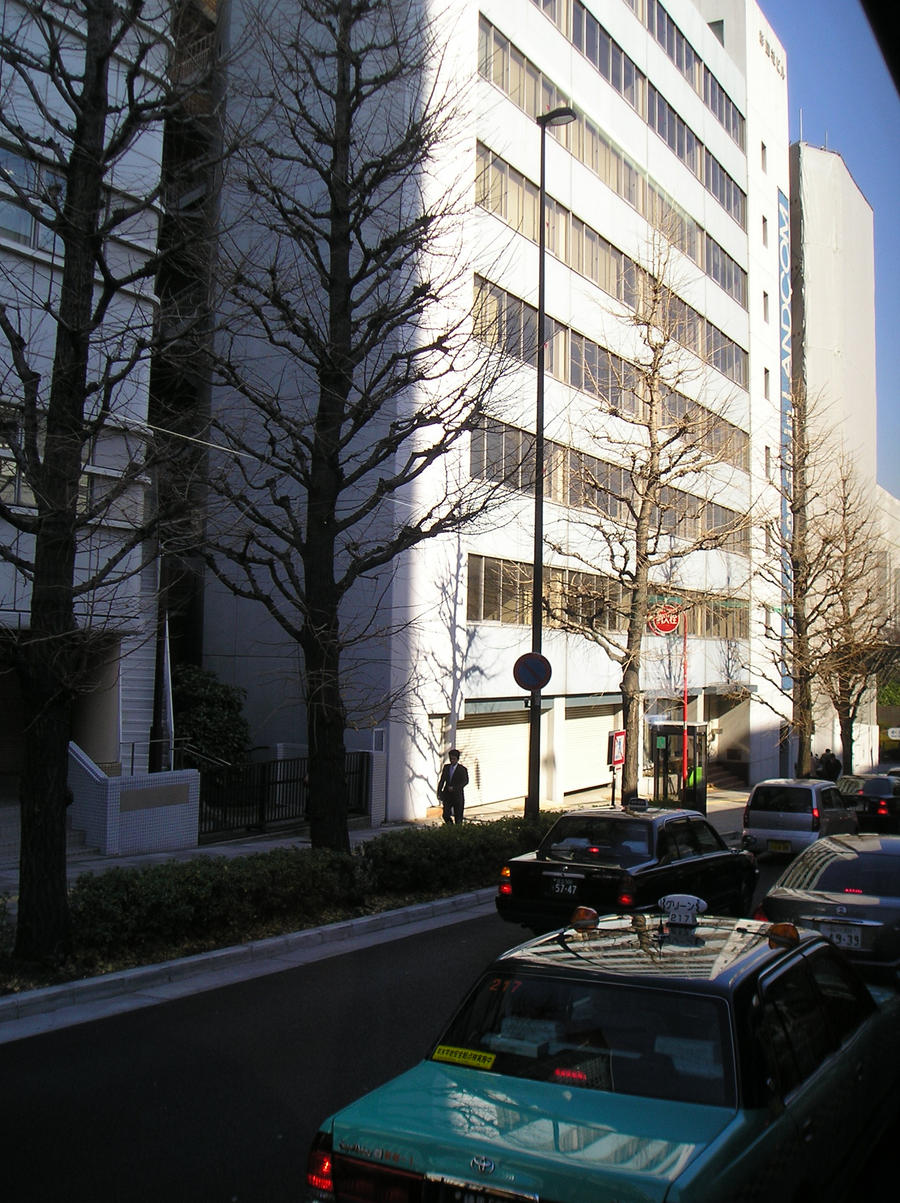 Tokyo Street 8
