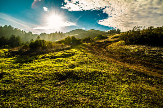 Hiking in the Hills