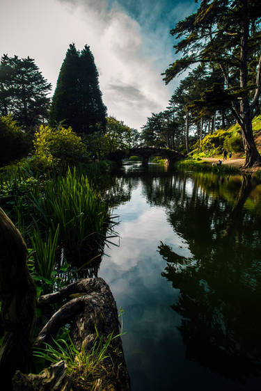 Golden Gate Park