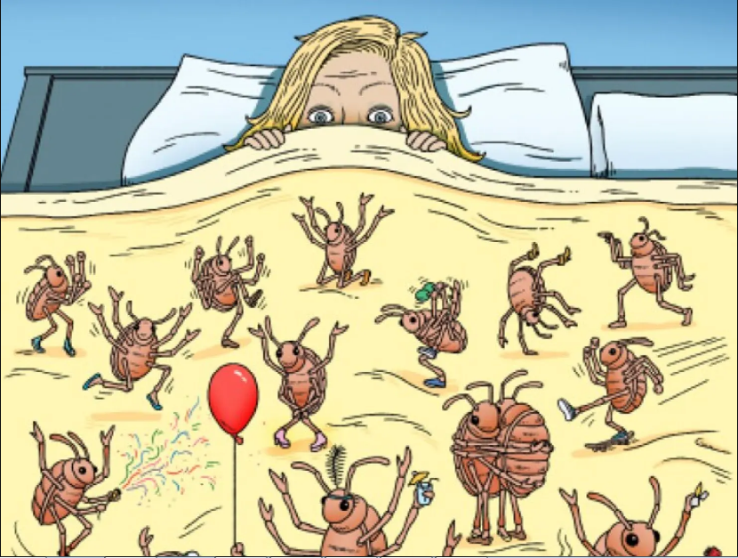 A Lot Of Bedbugs Cartoon by chupancios on DeviantArt