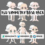 P2U symmetry base pack