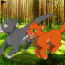 Fireheart and Graystripe