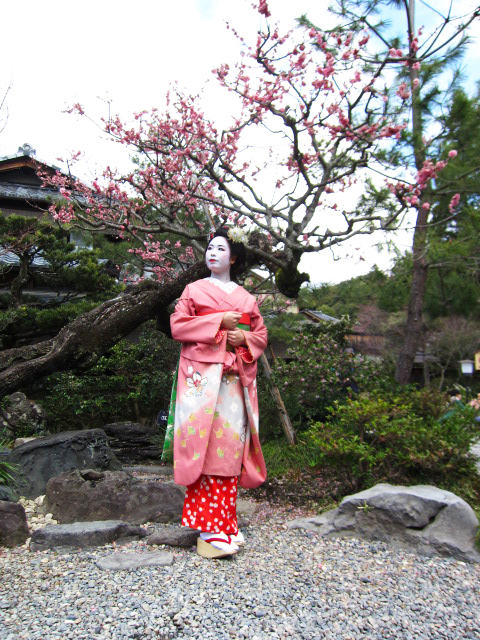 Maiko (Pink) - 15