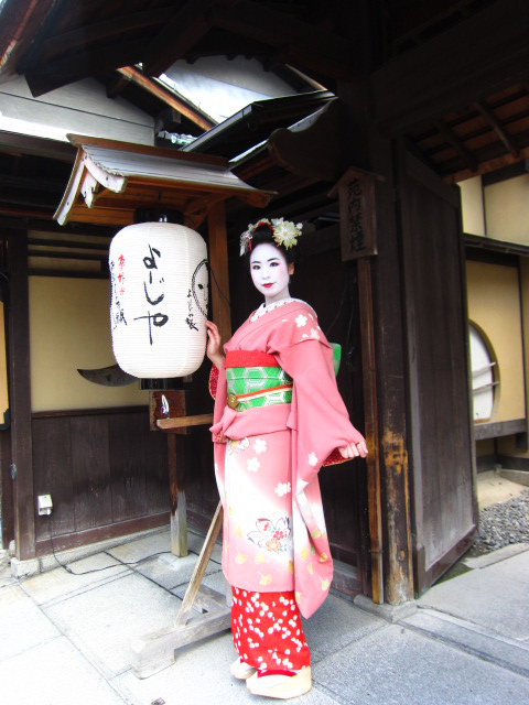 Maiko (Pink) - 19