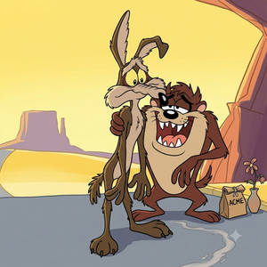 Taz comfort to will e coyote