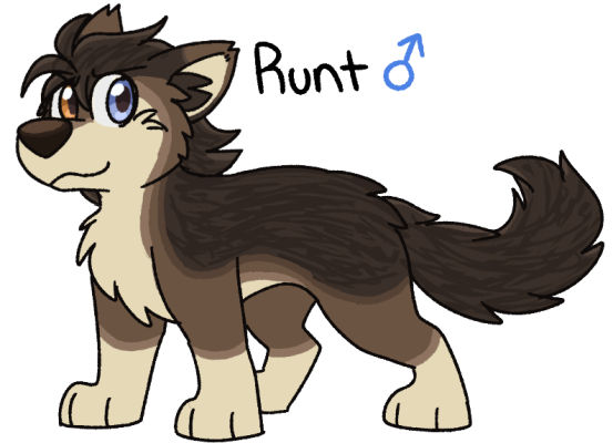 Rotty Runt Runt of the Litter by Corvid-Curiosity on DeviantArt
