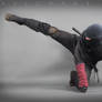 NINJA STOCK IX