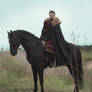 Nobleman STOCK VII