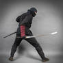 NINJA STOCK XIX