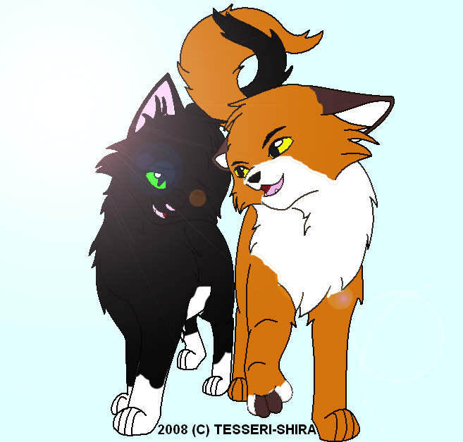 1 Young Love Warrior Cats Of The Wild By Sarah On Deviantart 1 Young Love Warrior Cats Of The Wild By Sarah On Deviantart