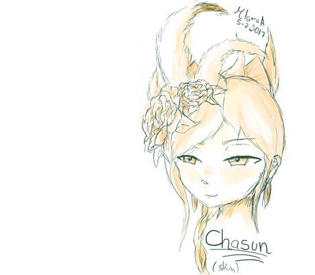 Chasun's skin