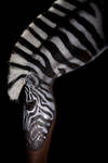 Zebra Leg.... bent by Battledress