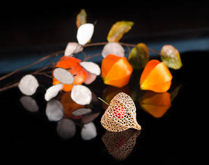 Chinese Lantern and Silver Dollars