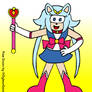 Prize Tournament #02 - Lillie as Sailor Moon