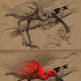 Scarlet Ibis