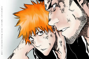 Ichigo and Isshin