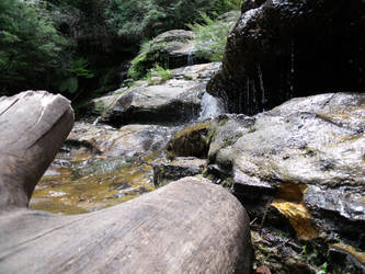 Wood and Waterfall