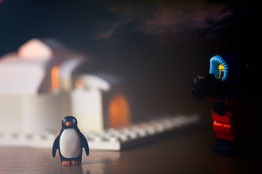Lego Wildlife Photographer And The Penguin