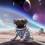 DreamUp Creation: Astronaut Pug