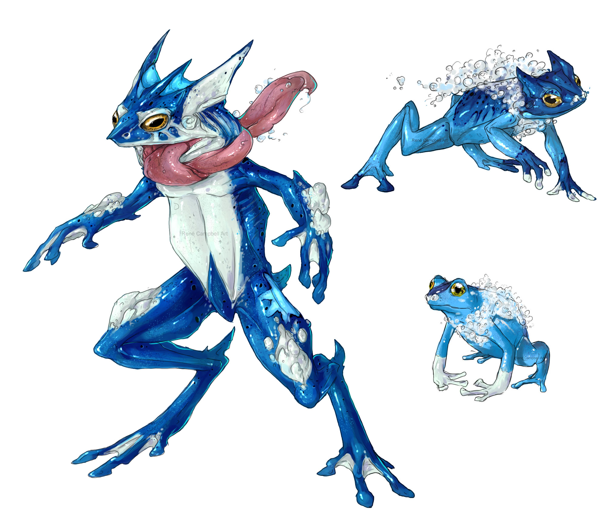 Realistic Pokemon: Froakie Evolution Line by ReneCampbellArt on DeviantArt