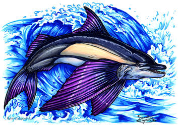 Day 29: Flying Dolphin Fish