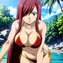 Erza Scarlet 6