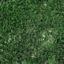 Grass Tileable