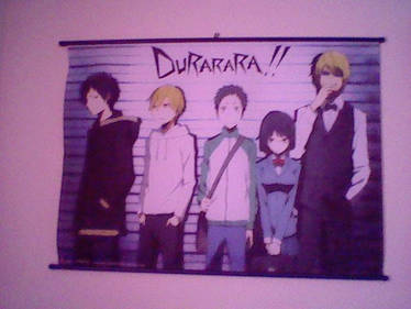 MY DRRR WALL SCROLL CAME~~~!!!