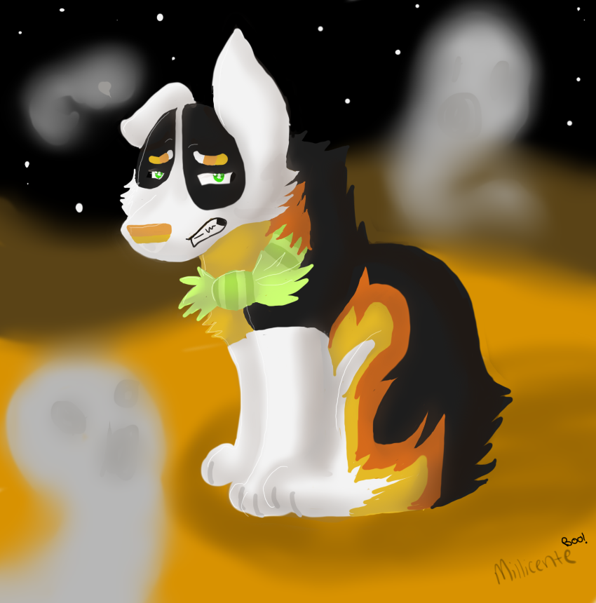 RE: Adopt for the candycorn Aussie :P