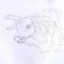 Tbone the Oxen Sketch