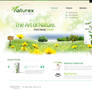 Naturex Website Design