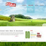 Bilbak Food Website