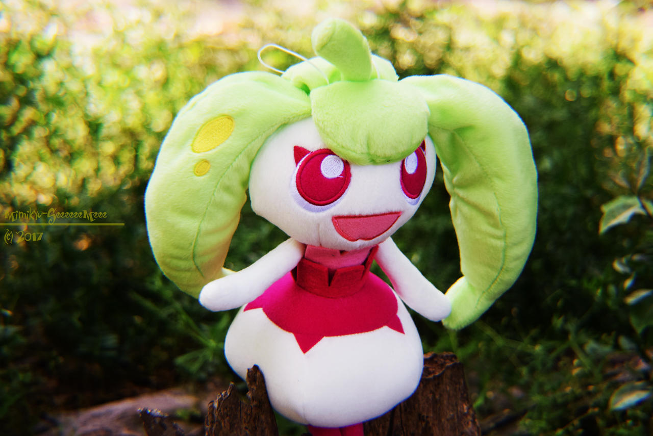 Steenee's Favorite Tree Stump