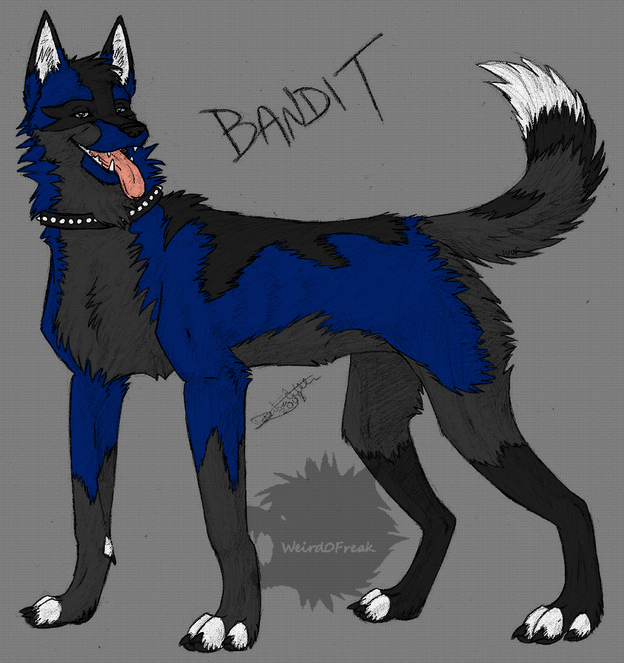 It's the Blue Bandit