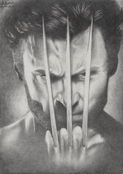 Mr Wolverine