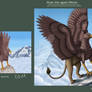 Before And After - Gryphon