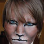 lion face makeup