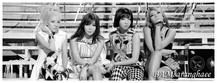2NE1, Falling In Love (banner for my facebookpage)