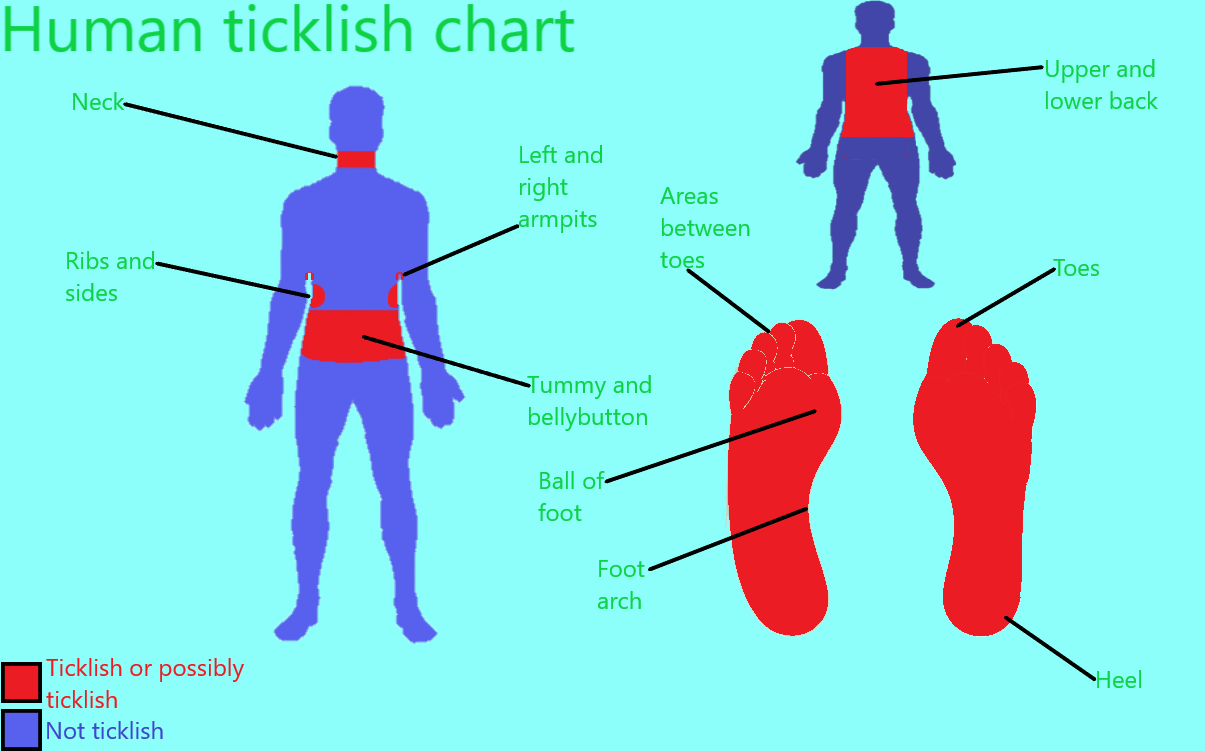 Human/furry Ticklish Chart by Horsetickler99 on DeviantArt Human/furry Ticklish Chart by Horsetickler99 on DeviantArt