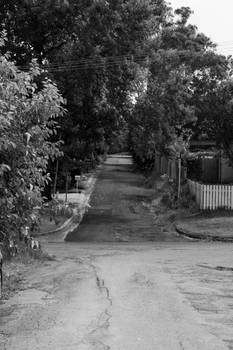 Black and White Street in Picton