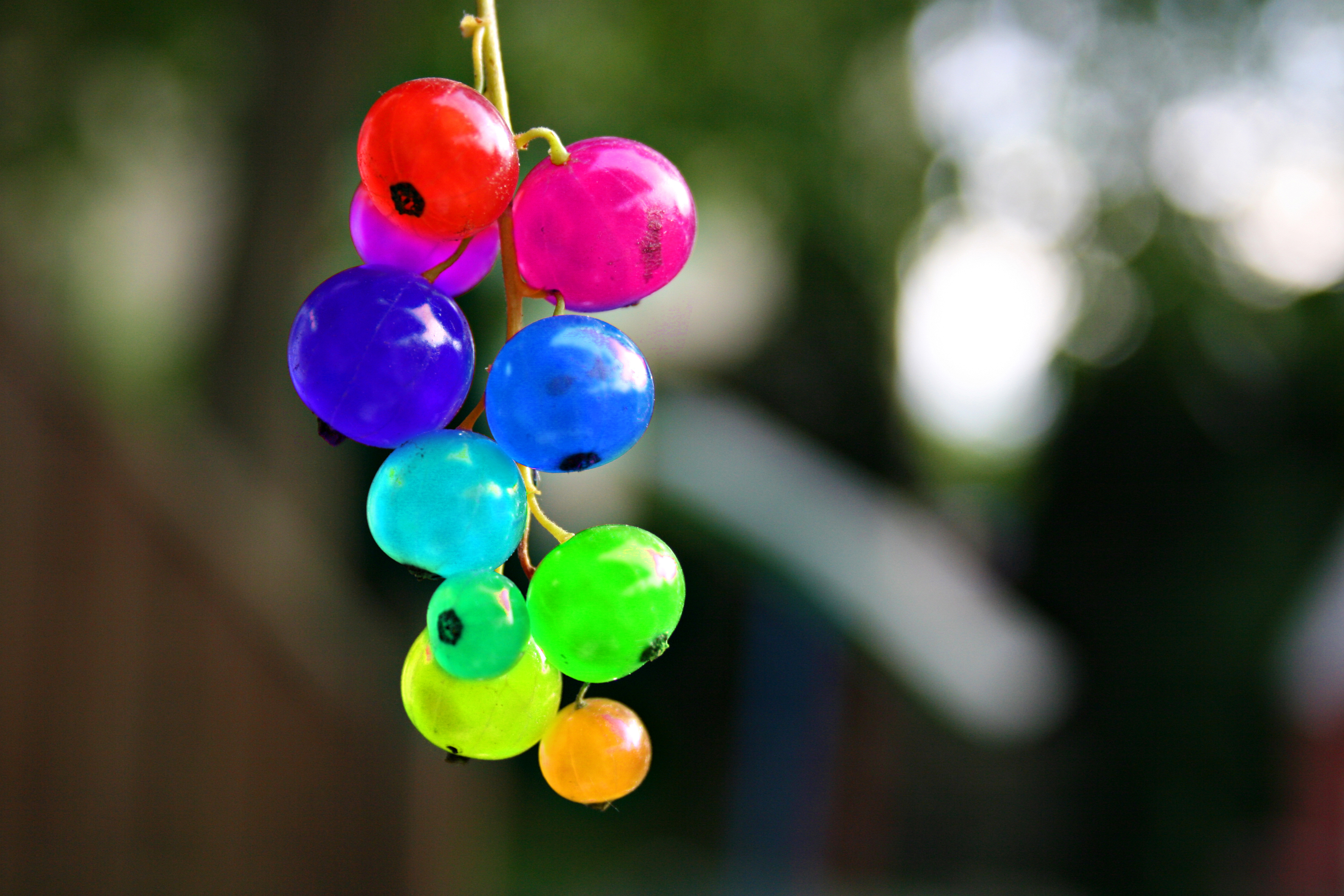 Rainbow Berries